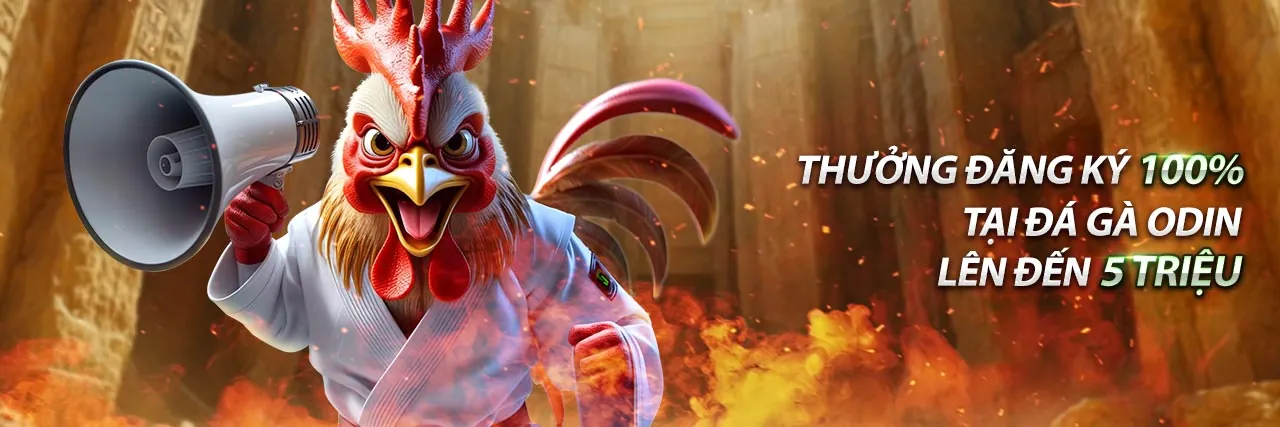 Hình ảnh Điều khoản Dịch vụ của tk88 win 2026, thể hiện sự minh bạch và công bằng